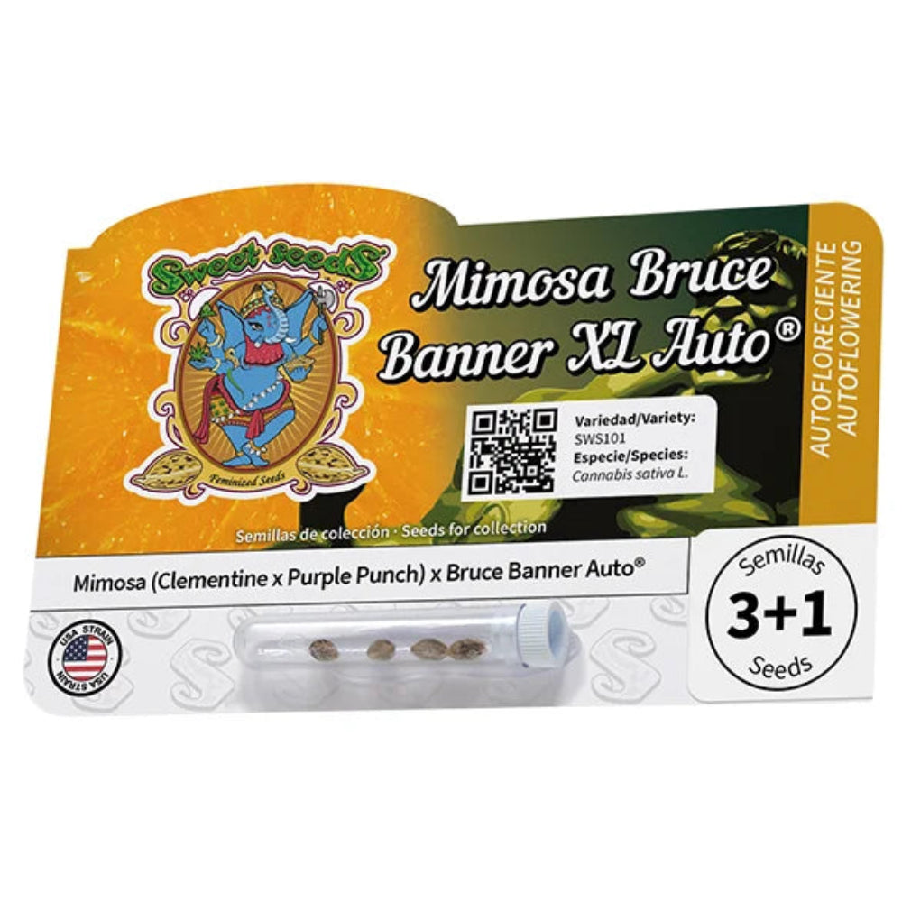 MIMOSA BRUCE BANNER XL AUTO X3+1 - SWEET SEEDS