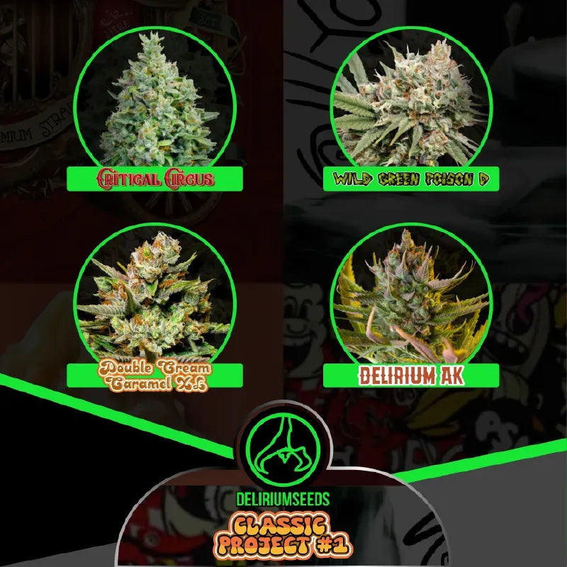 MIX CLASSIC PROJECT #1 AUTO X4 DELIRIUM SEEDS-2