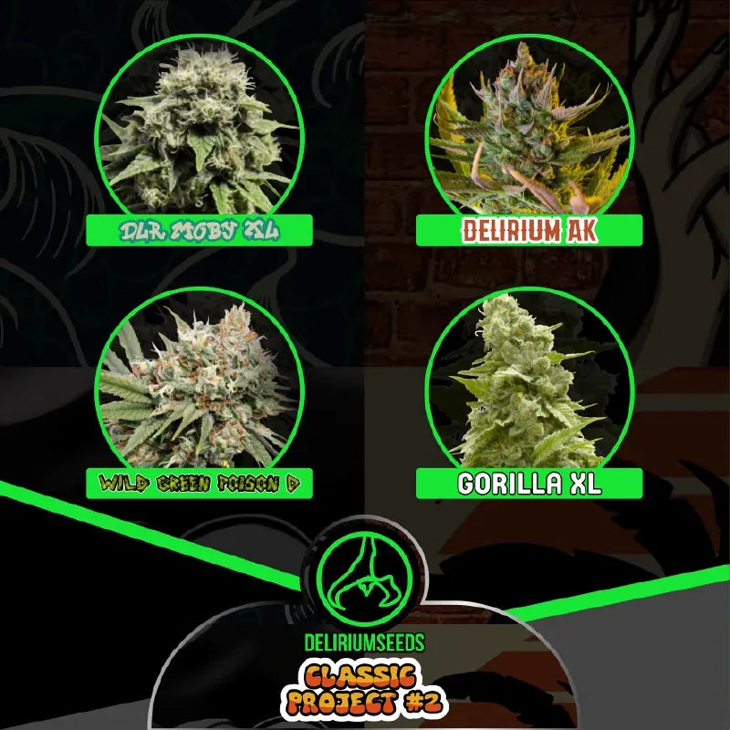 MIX CLASSIC PROJECT #2 AUTO X14 DELIRIUM SEEDS-2
