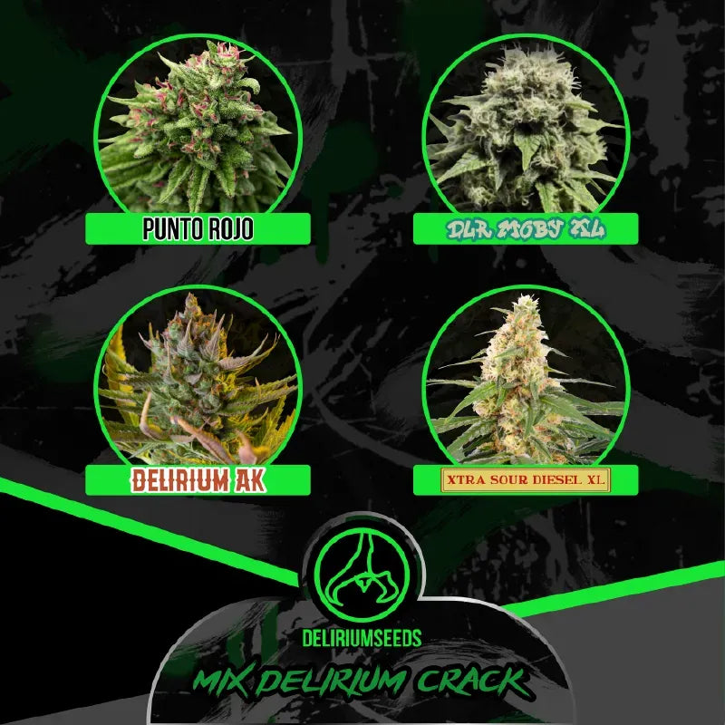 MIX DELIRIUM CRACK FEM X8 DELIRIUM SEEDS