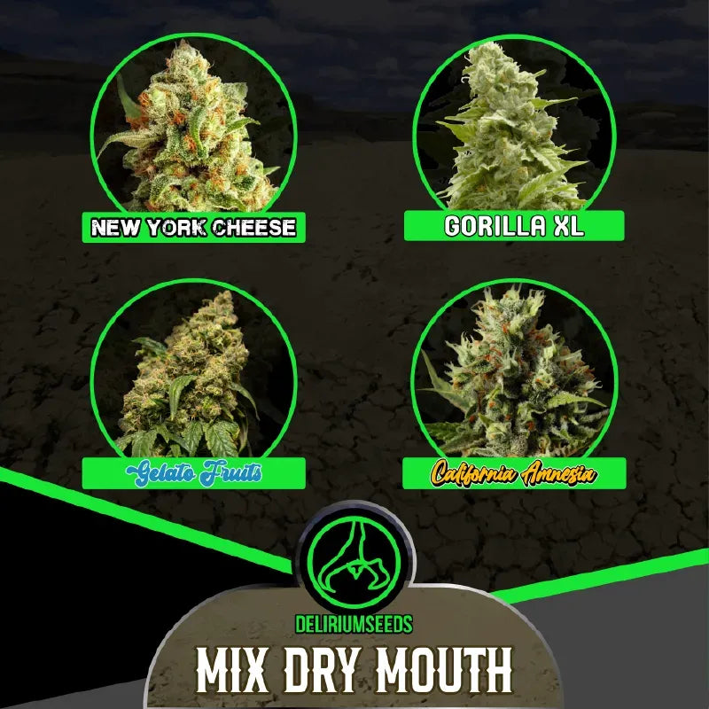 MIX DRY MOUTH LINE AUTO X14 DELIRIUM SEEDS