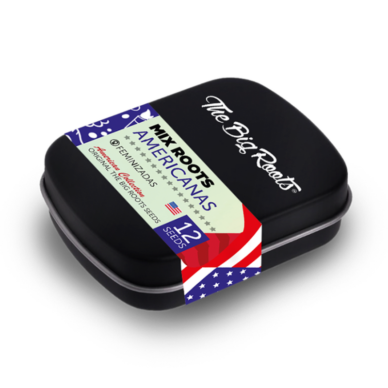 MIX ROOTS AMERICANAS FEM X12 - THE BIG ROOTS-3