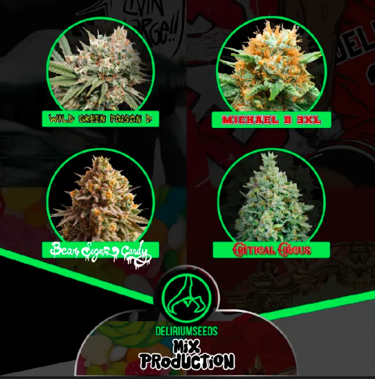 MIX PRODUCTION FAST X4 DELIRIUM SEEDS-2