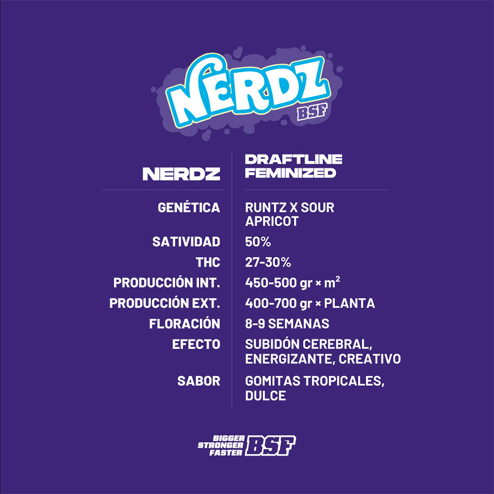 NERDZ FEM X12 BSF SEEDS