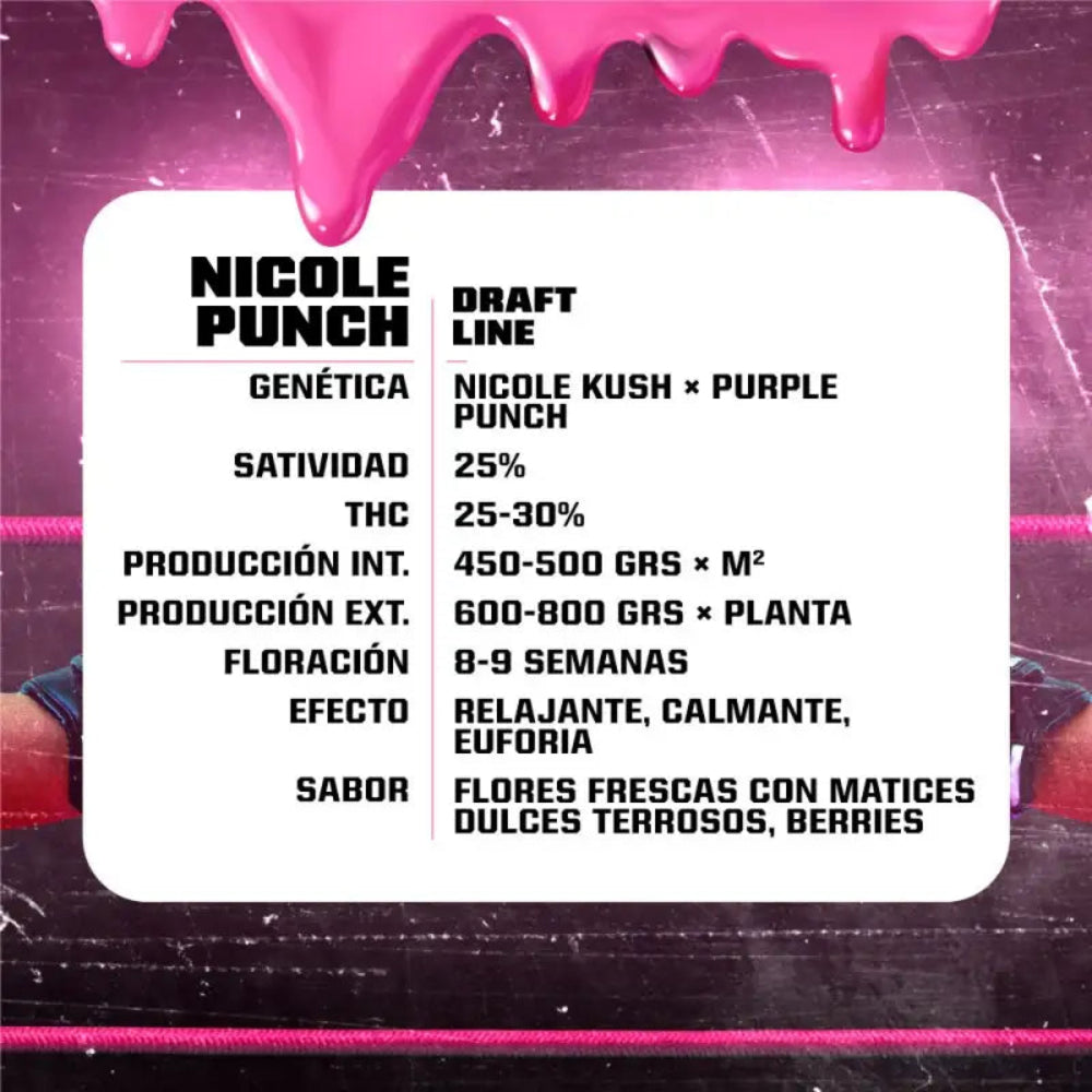 NICOLE PUNCH FEM X12 - BSF-2