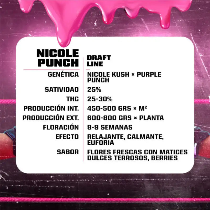 NICOLE PUNCH FEM X12 - BSF-2