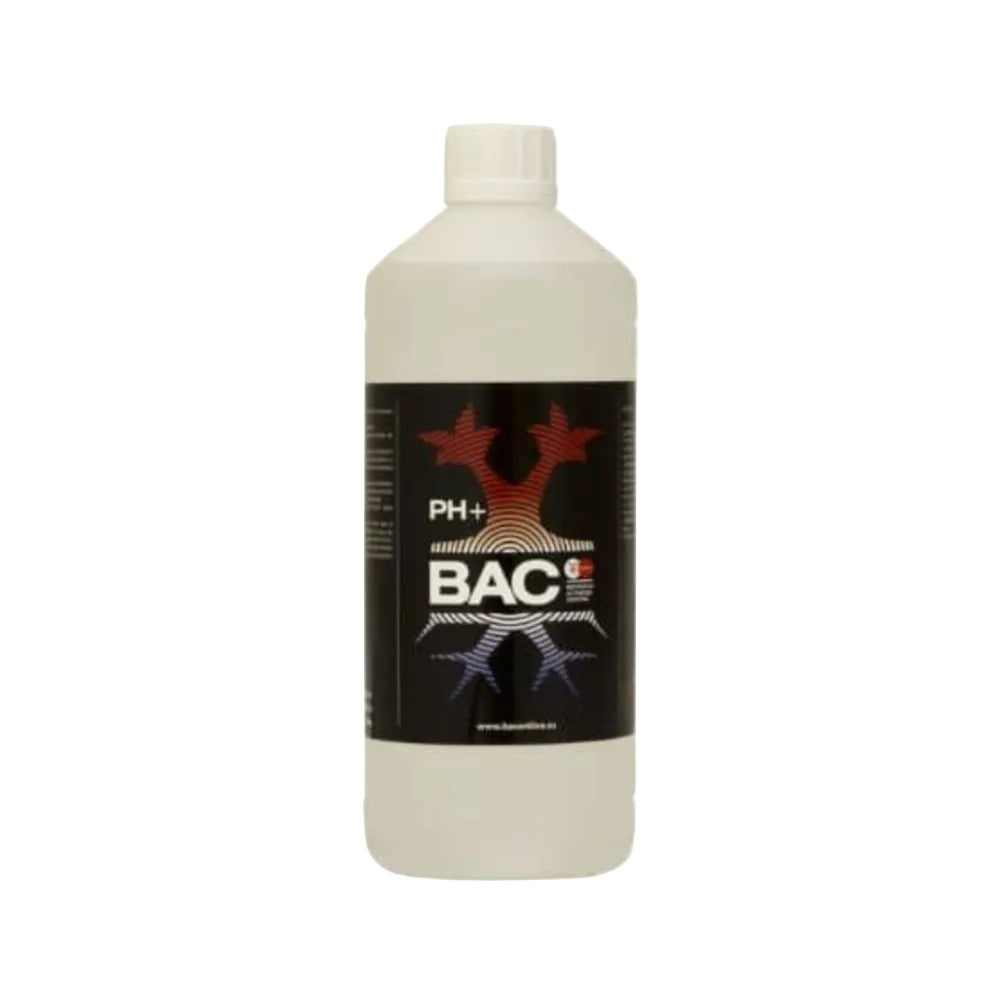 PH+ UP 1L - BAC