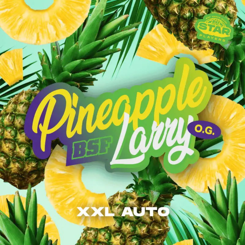 PINEAPPLE LARRY OG XXL AUTO X12 - BSF SEEDS-2