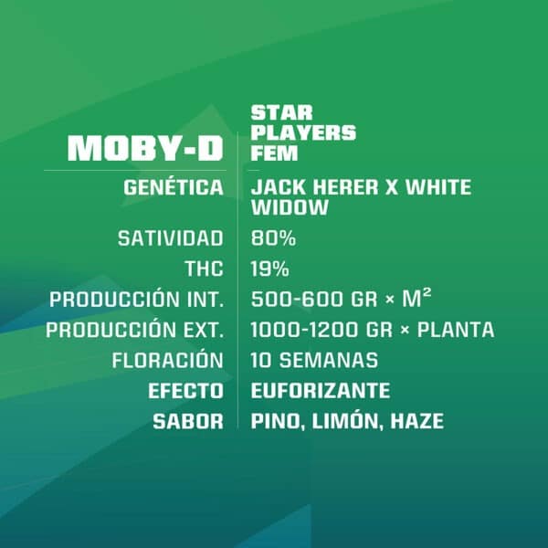 MOBY-D FEM X100 BSF SEEDS-3