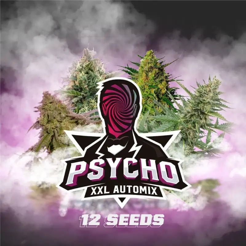 PSYCHO XXL AUTOMIX X12 BSF SEEDS