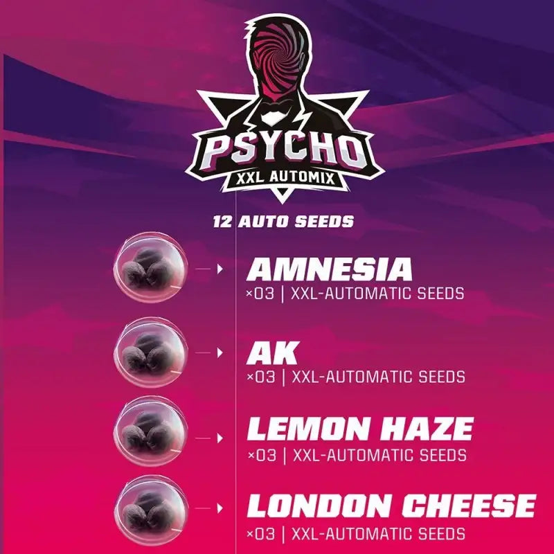 PSYCHO XXL AUTOMIX X12 BSF SEEDS