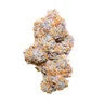 PURPLE PUNCH AUTO X10 ROYAL QUEEN SEEDS-7