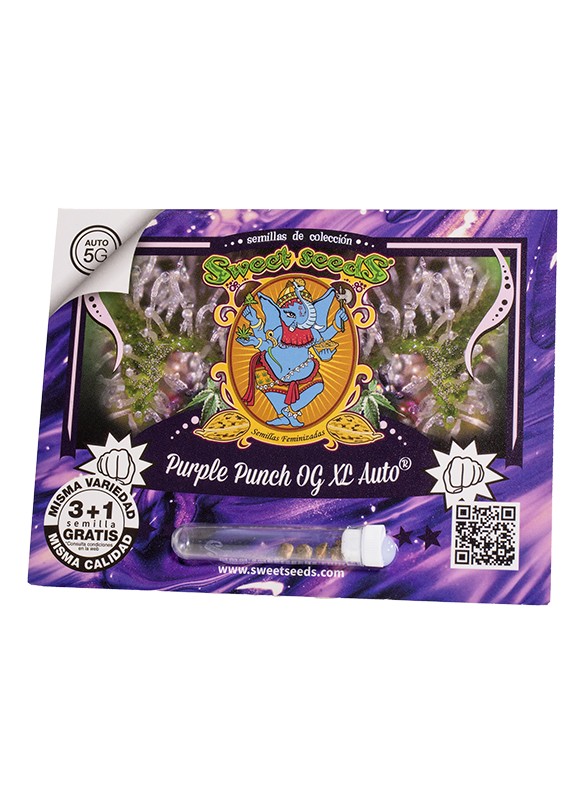 PURPLE PUNCH OG AUTO XL X100 SWEET SEEDS-1
