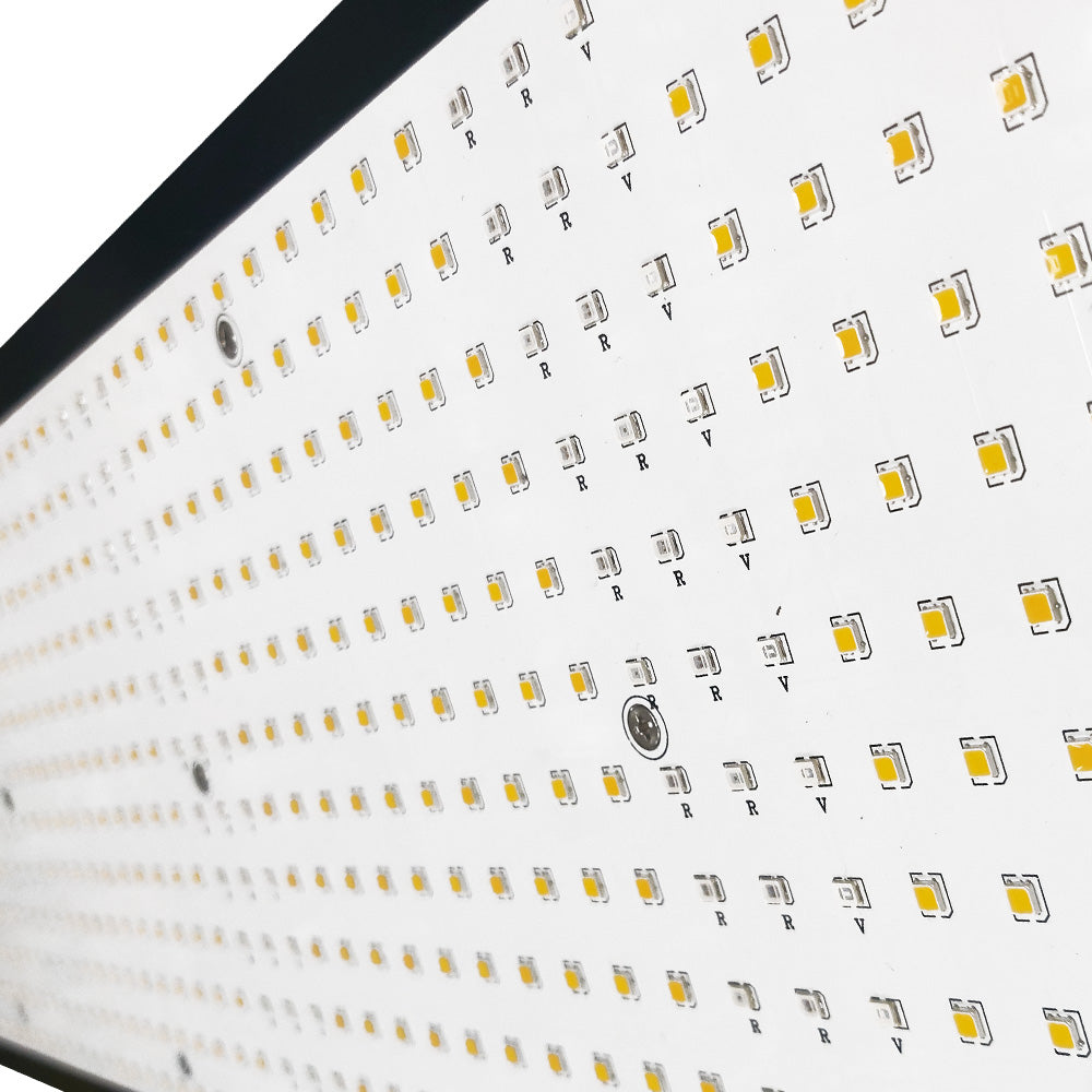 LED QUANTUM BOARD 240W CON DIMMER GROWERS TECHNOLOGY