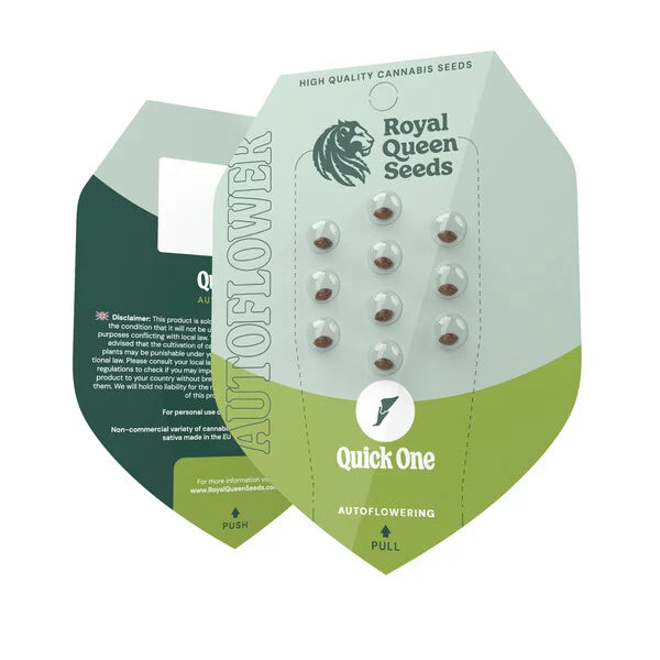 QUICK ONE AUTO X10 ROYAL QUEEN SEEDS-2