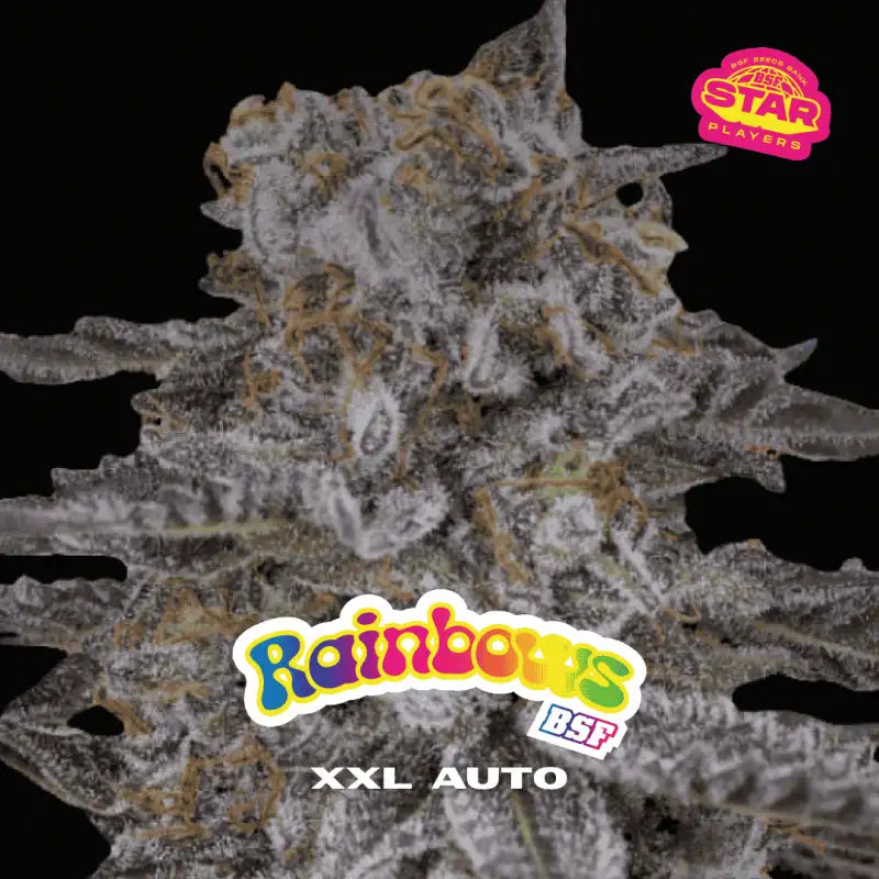 TUTTI FRUTTI XXL AUTO MIX x12 BSF SEEDS