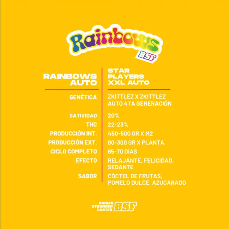 RAINBOWS XXL AUTO X12 - BSF SEEDS-3