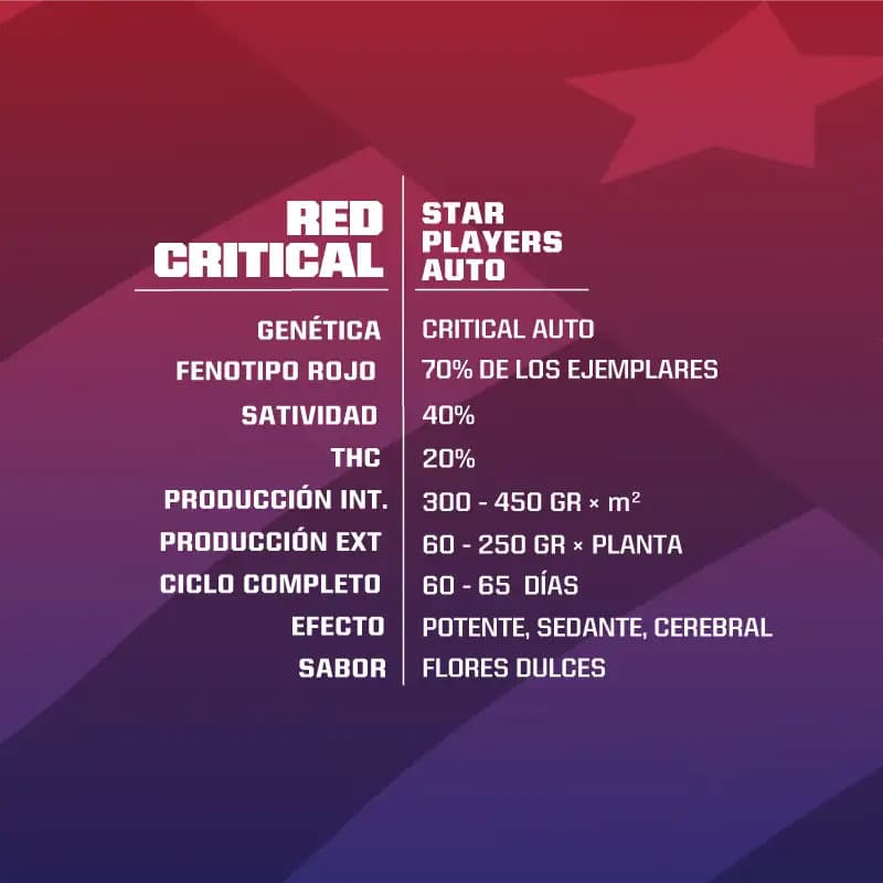 RED CRITICAL AUTO X2 BSF SEEDS-2