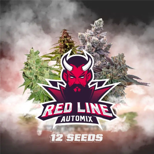 RED LINE AUTOMIX X12 BSF SEEDS