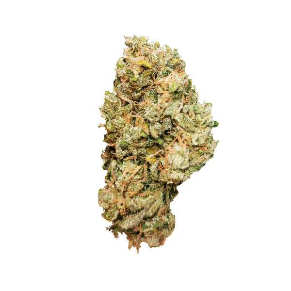 ROYAL CHEESE AUTO X10 ROYAL QUEEN SEEDS-5