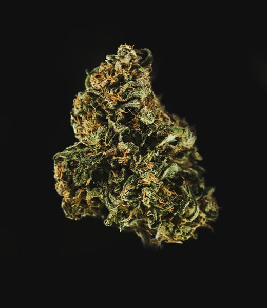 ROYAL DWARF AUTO X3 ROYAL QUEEN SEEDS-6