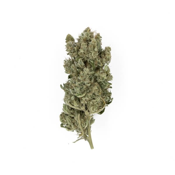 ROYAL GORILLA FEM X10 ROYAL QUEEN SEEDS-3