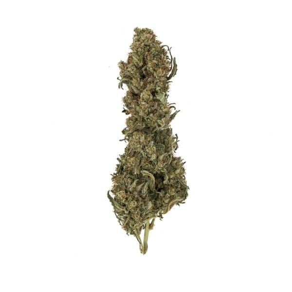 ROYAL MEDIC CBD FEM X1 ROYAL QUEEN SEEDS-2