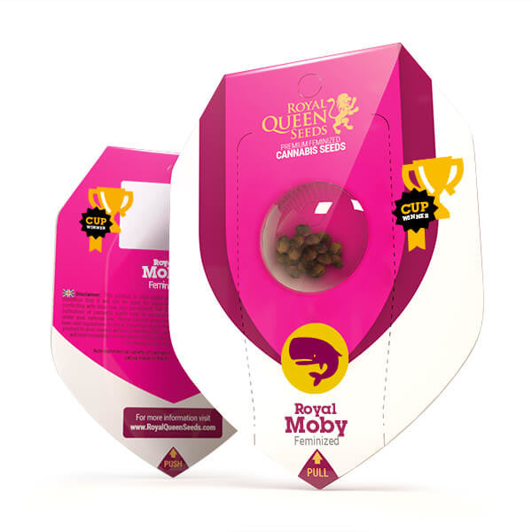 ROYAL MOBY X10 FEM ROYAL QUEEN SEEDS-2