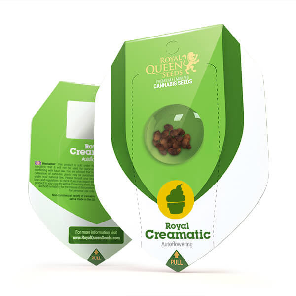 ROYAL CREAMATIC AUTO X10 ROYAL QUEEN SEEDS-3