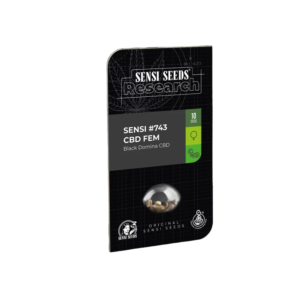 SENSI #743 CBD FEM X3 (SATIN BLACK DOMINA CBD) - SENSI SEEDS-2