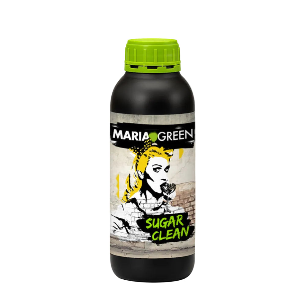 SUGAR CLEAN 1LT - MARIA GREEN