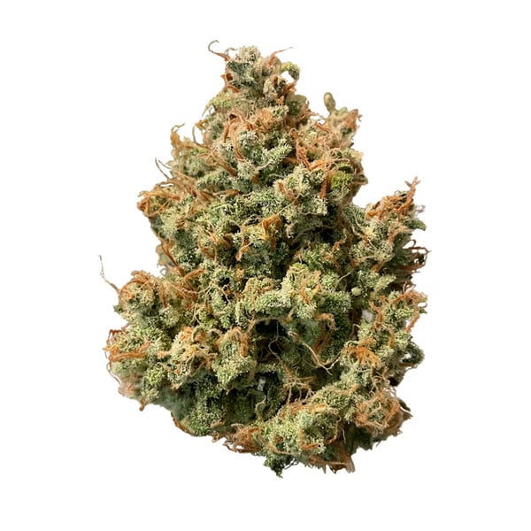SWEET ZZ AUTO X1 ROYAL QUEEN SEEDS