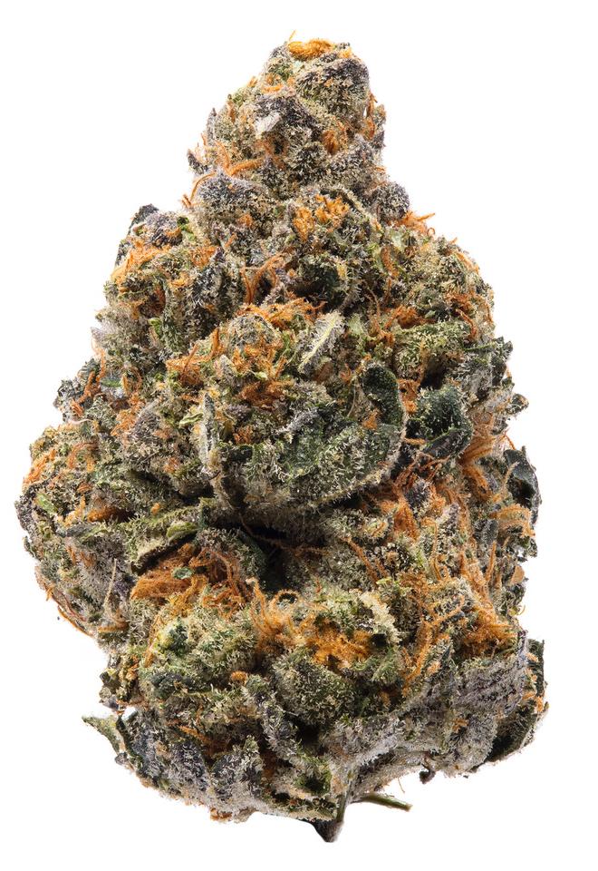 THE NEW FAST GRANELSEEDS