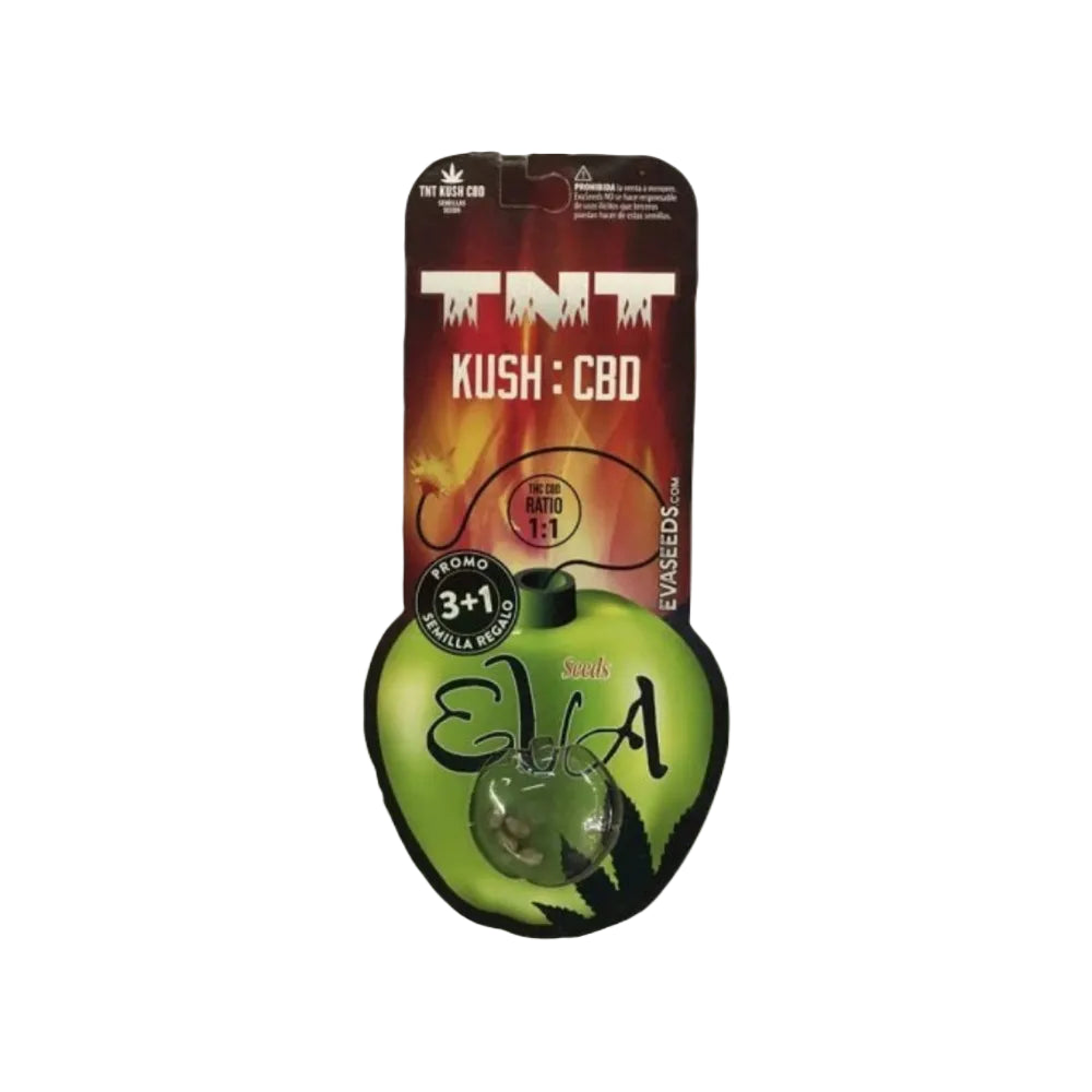 TNT KUSH  FEM X3+1 - EVA SEEDS-2