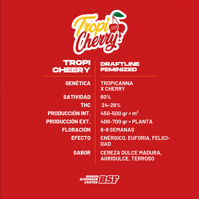 TROPICHERRY FEM X12 BSF SEEDS-2