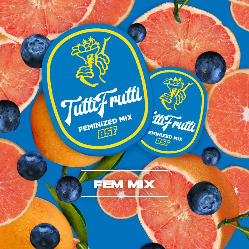 TUTTI FRUTTI FEM MIX 12 BSF SEEDS-1