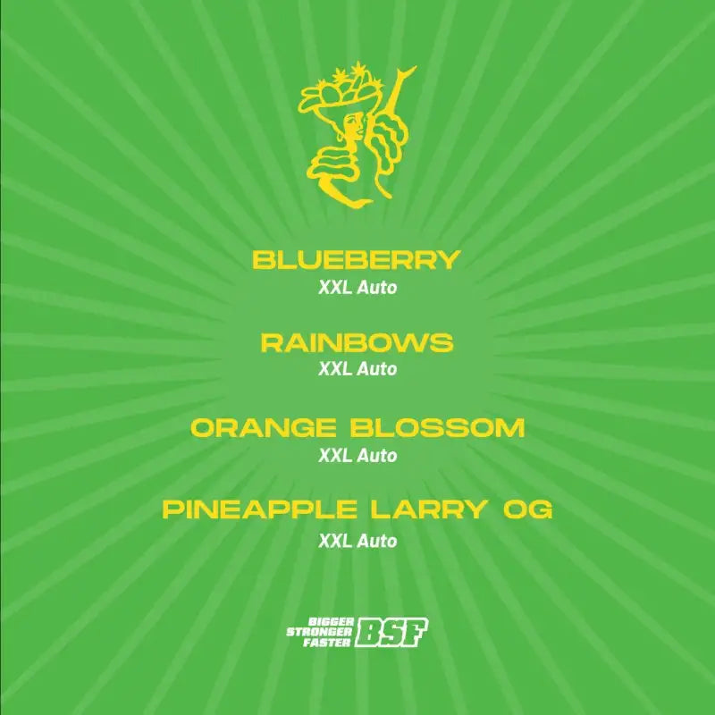 TUTTI FRUTTI XXL AUTO MIX x12 BSF SEEDS