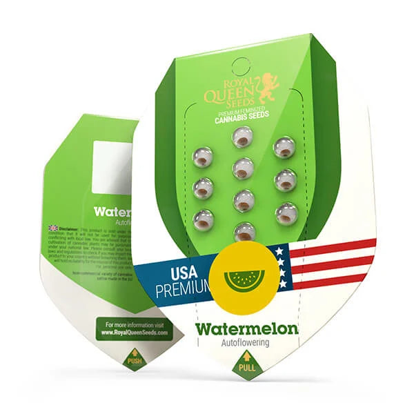 WATERMELON AUTO X10 ROYAL QUEEN SEEDS-2