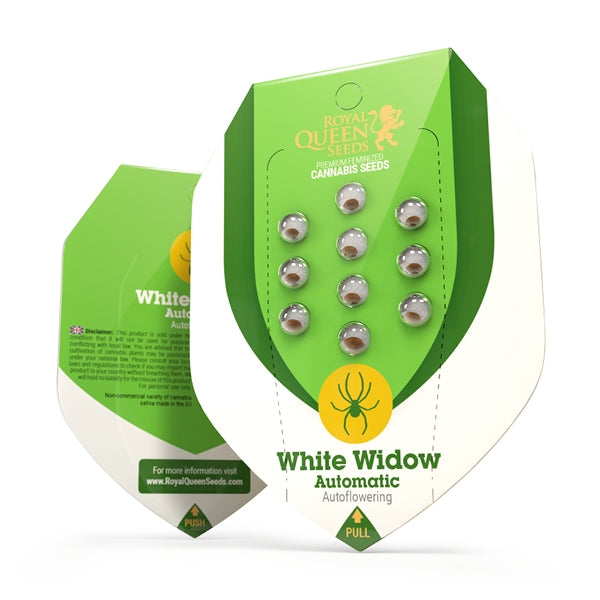 WHITE WIDOW AUTO X10 ROYAL QUEEN SEEDS