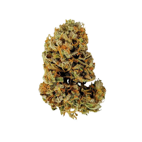 WHITE WIDOW AUTO X10 ROYAL QUEEN SEEDS-4