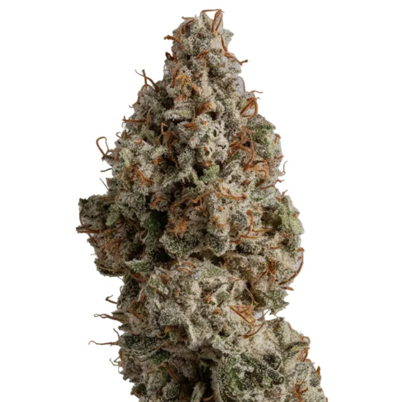WHITE WIDOW GRANELSEEDS-3