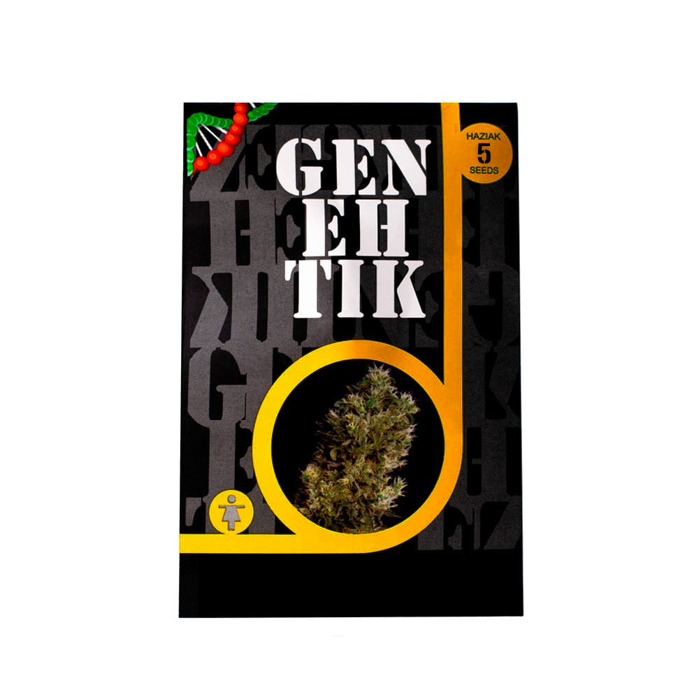 ESE T BILBO A X5 GENEHTIK