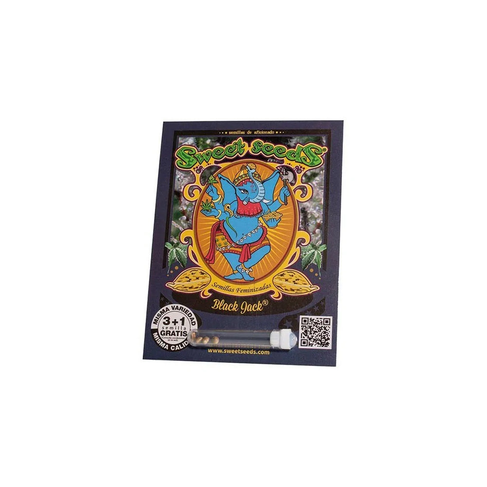 BLACK JACK FEM X3+ 1 SWEET SEEDS