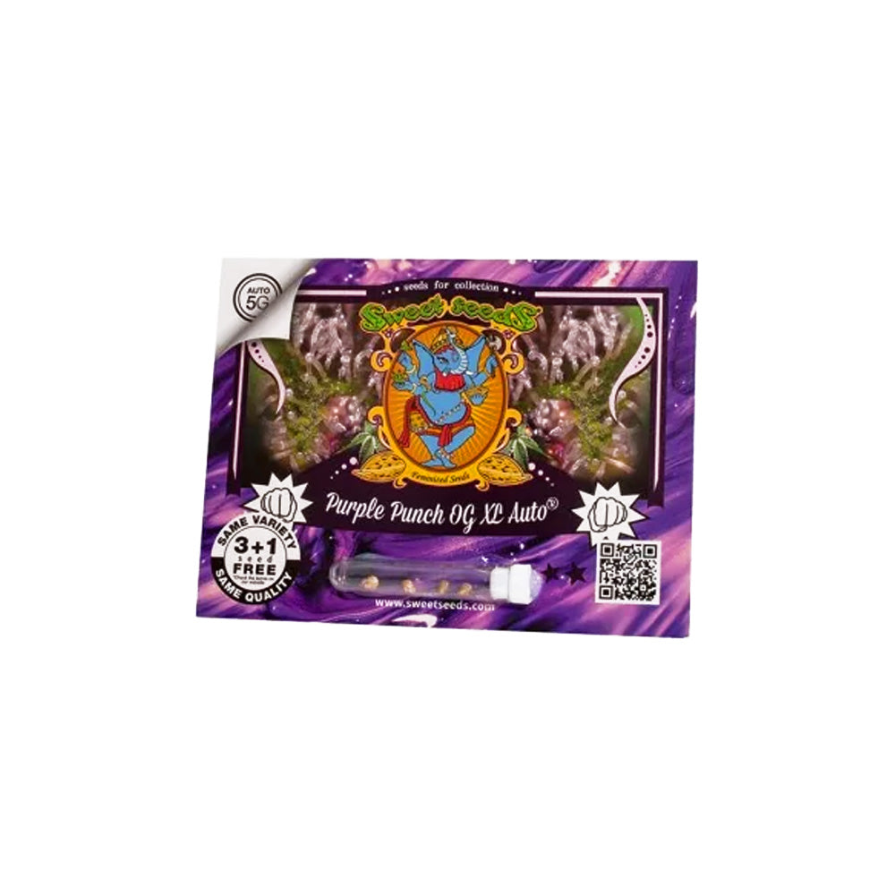 PURPLE PUNCH OG XL AUTO X3 + 1 SWEET SEEDS