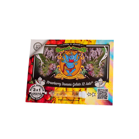 STRAWBERRY BANANA GELATO XL AUTO x3+1 SWEET SEEDS