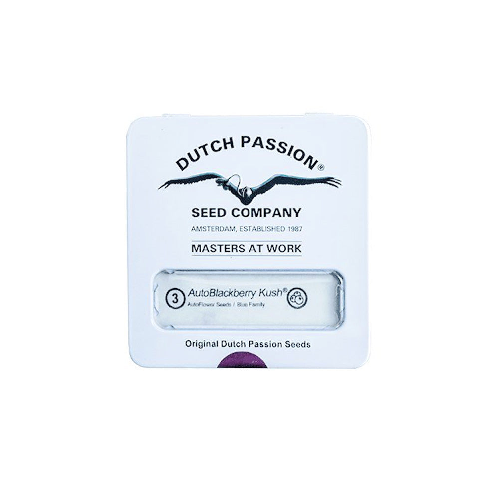 BLACKBERRY KUSH AUTO X3 DUTCH PASSION DUTCH PASSION