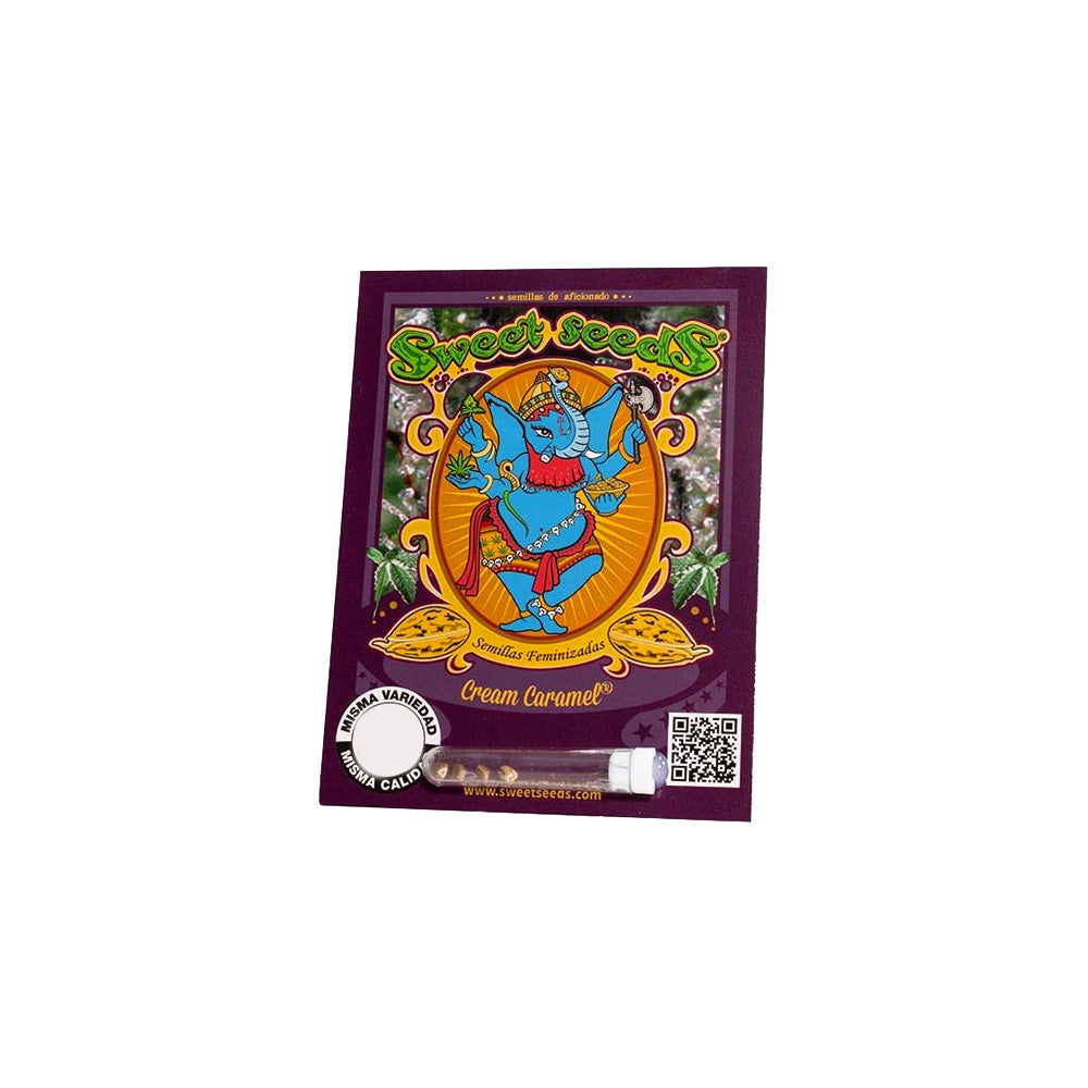 CREAM CARAMEL X25 SWEET SEEDS-1