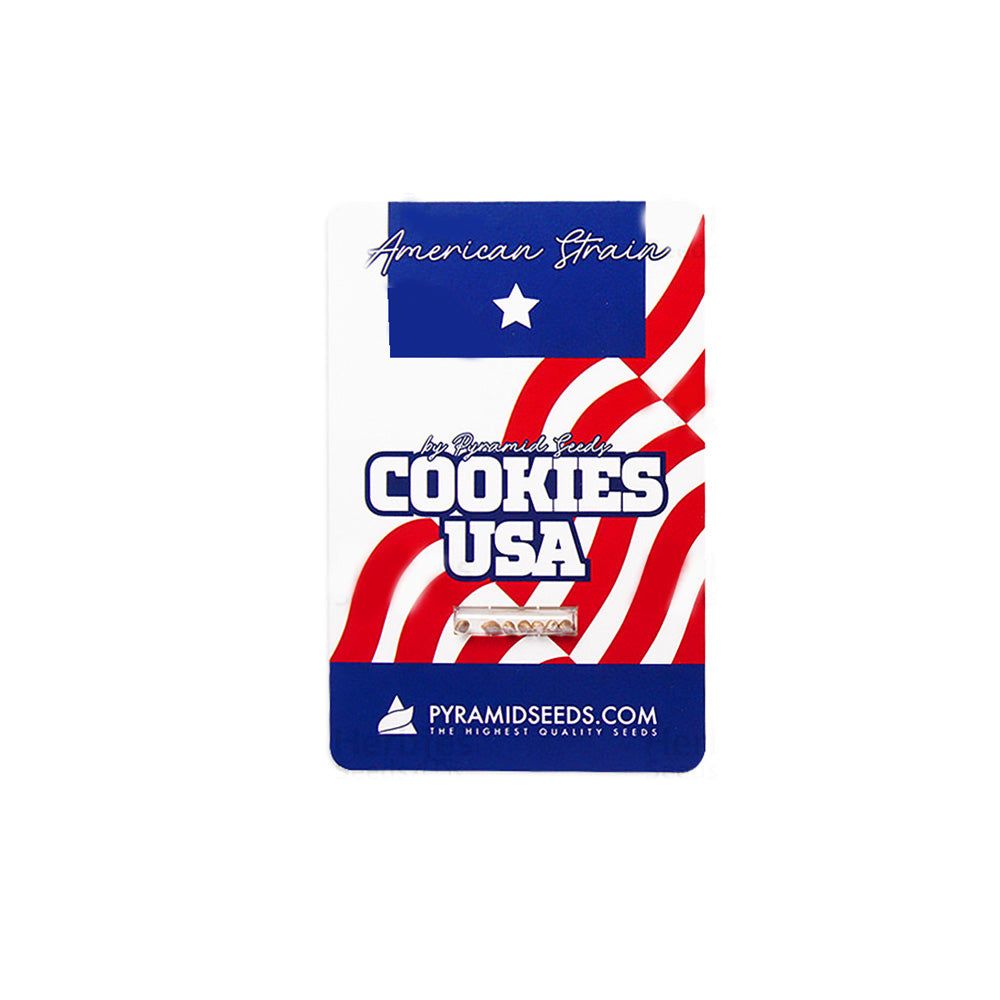 COOKIES USA 3+1 PYRAMID SEEDS