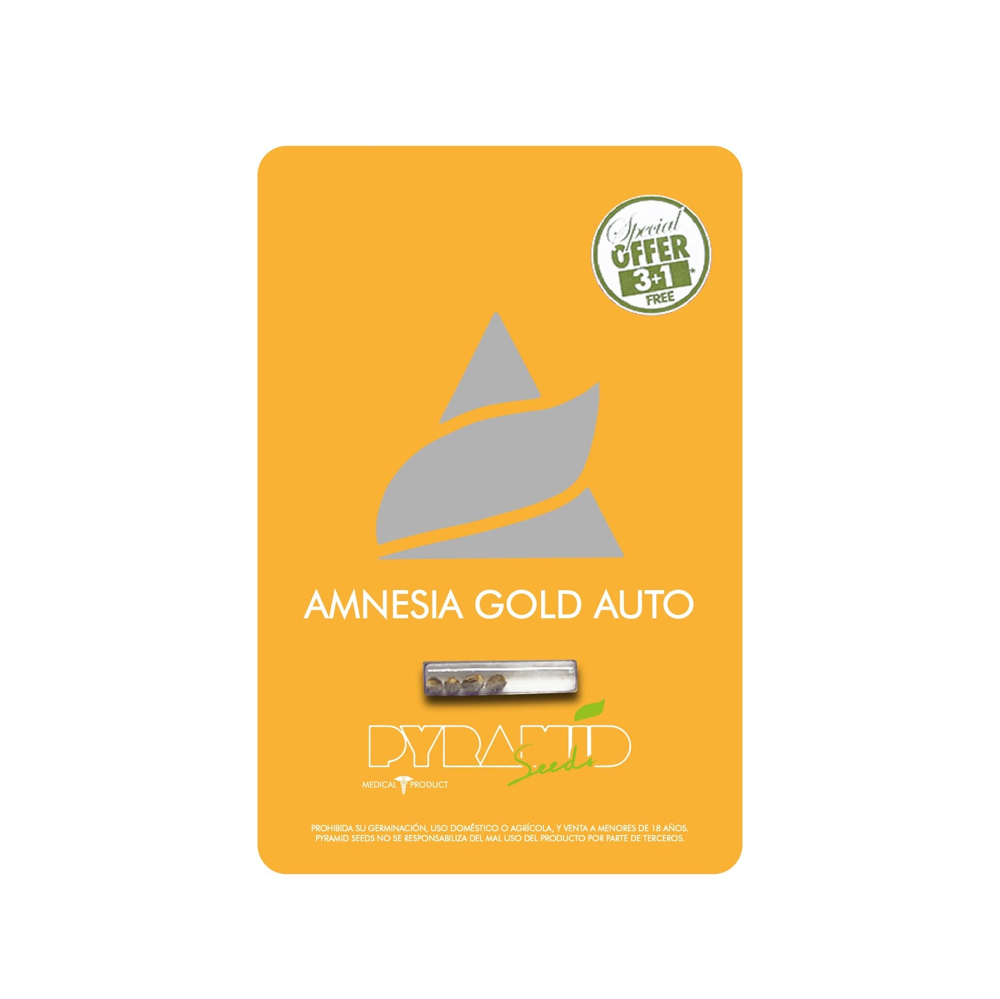 AMNESIA GOLD AUTO 3+1 PYRAMID SEED