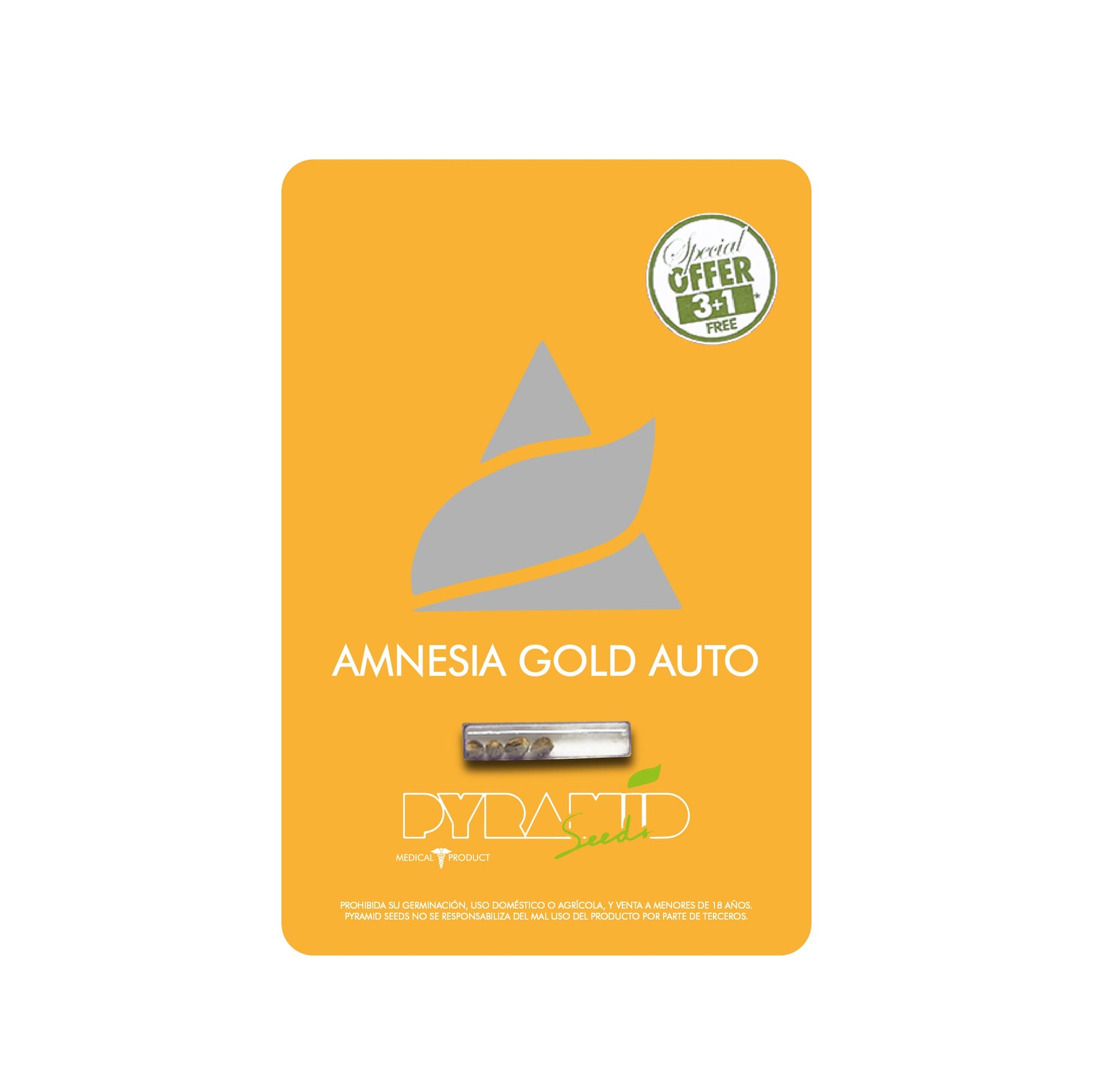 AMNESIA GOLD AUTO 3+1 PYRAMID SEED
